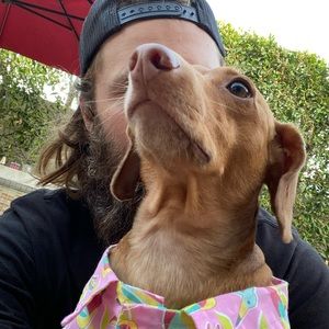 Meet your Posher, Max